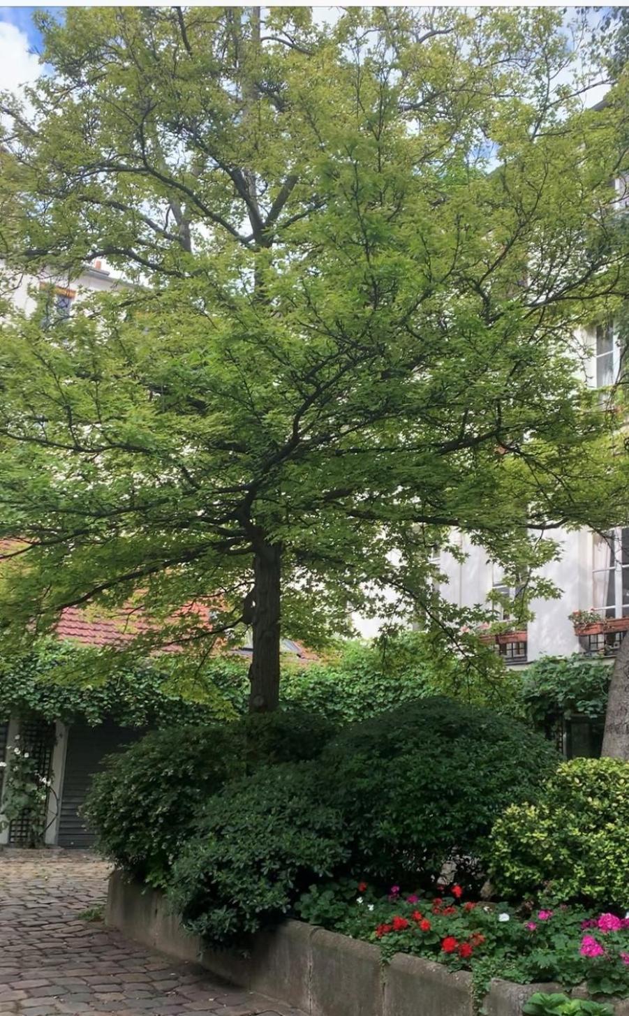 Apartment Romantic Loft In The Center Of Le Marais, Min 31 Nights From March Paris